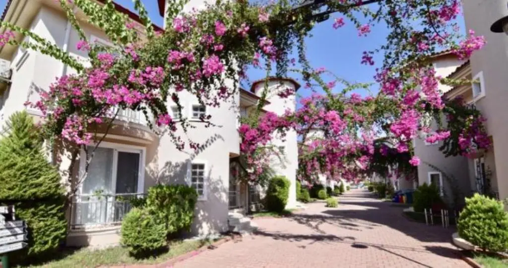 Homes in Calis